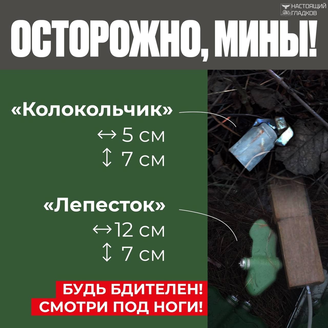 Алгоритм действий при обнаружении мины на земле