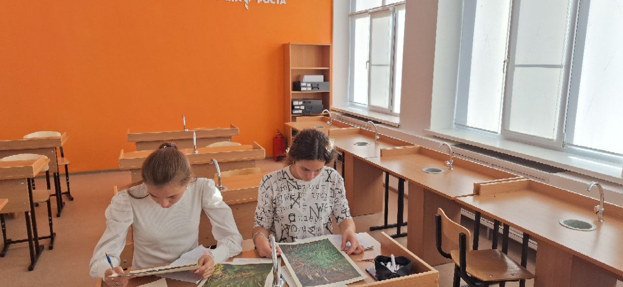 Точка роста : выполнение лабораторных и исследовательских работ.